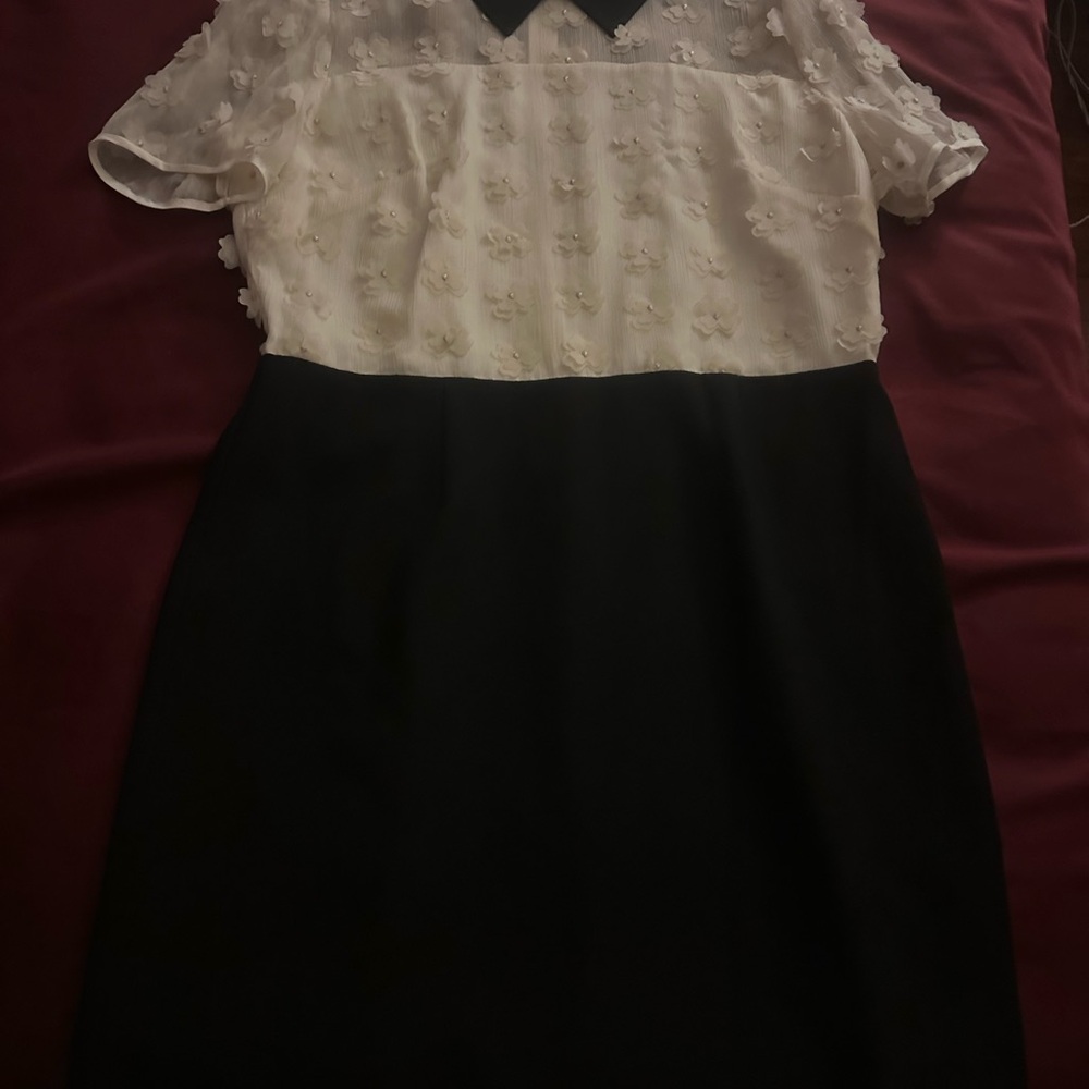 Karl Lagerfeld dress with Black Collar